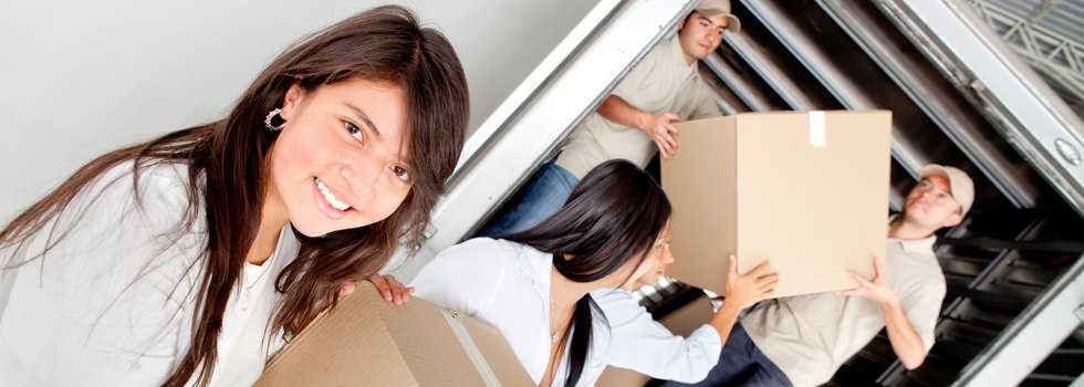 Professional Removalists Queenscliff VIC